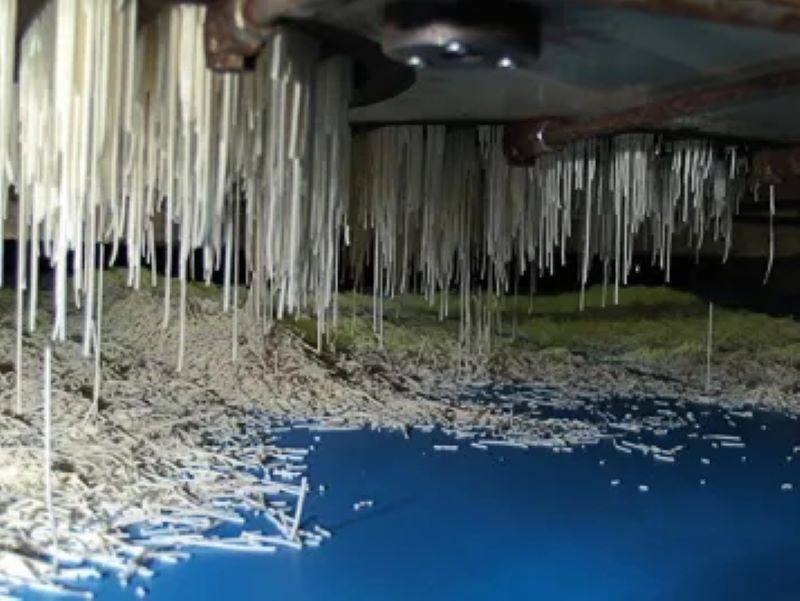 福尔波西格林（Forbo Siegling）传送带和加工带适于糖果业中的多项应用